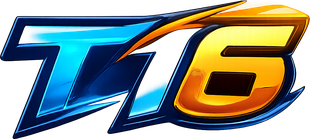 t16